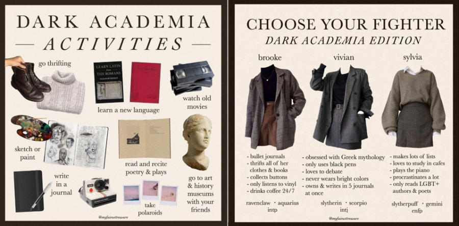 What are hobbies of dark academia?